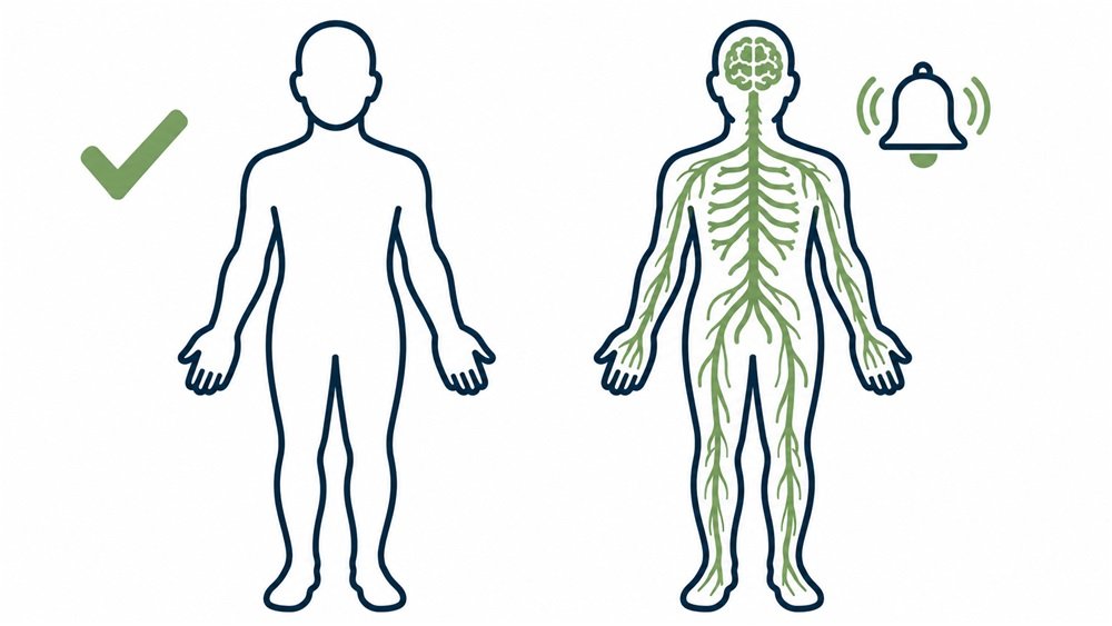 Diagrama: à esquerda o corpo já cicatrizado; à direita o mesmo corpo com o sistema nervoso em alerta e um alarme soando